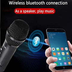 15W Bluetooth Wireless Microphone Speaker with FM