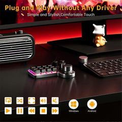Mini Custom 12-Key 4-Knob RGB BT Mechanical Macro Keyboard