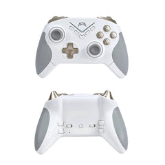 Wireless Gamepad with RGB Hall Triggers for Switch PC - B