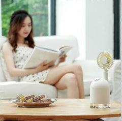 2-in-1 Gray Mini Humidifier with Rechargeable Handheld Fan