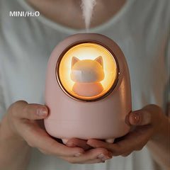 Bedroom Humidifier,baby Mini Humidifier,plant Humidifier