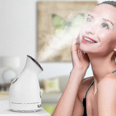 Champagne Gold Facial Steamer Nano Ion Humidifier Tool