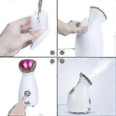 Champagne Gold Facial Steamer Nano Ion Humidifier Tool