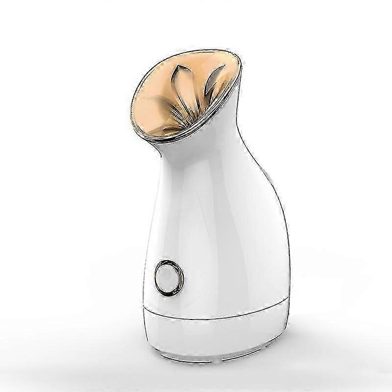 Champagne Gold Facial Steamer Nano Ion Humidifier Tool