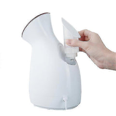 Champagne Gold Facial Steamer Nano Ion Humidifier Tool