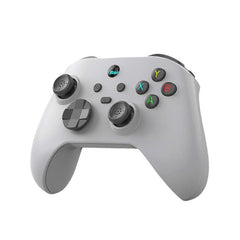 For //NS Switch//PC Controller B