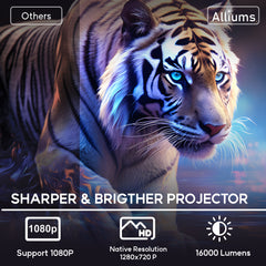 Mini Projector ¨C AP-Mini100