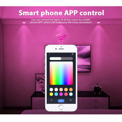 2 Pack Smart WiFi C37 Bulbs - 220V Dimmable Color LED Candle Bulbs