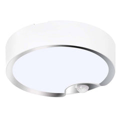 White Motion Sensor Ceiling Light - Battery LED for Closet Shower
