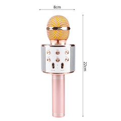 Bluetooth Wireless Karaoke Mic Speaker with USB for KTV