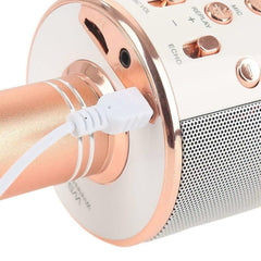 Bluetooth Wireless Karaoke Mic Speaker with USB for KTV