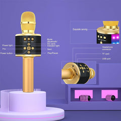 Bluetooth Karaoke Mic Speaker with USB Player - Gold
