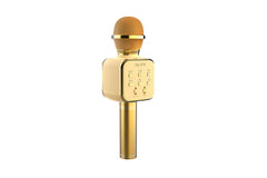 Gold Bluetooth Karaoke Microphone - Wireless with Built-in Speaker
